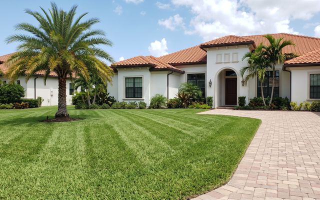 Front lawn, sample image
